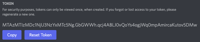Discord Developer Portal﹣"Token" Page